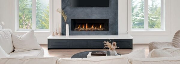 Stock Image - Regency - City Series New York View 50  Gas Fireplace Regency - Chimney Doctors of Colorado
