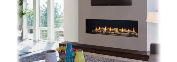 Stock Image - Regency - City Series New York View 60  Gas Fireplace Regency - Chimney Doctors of Colorado