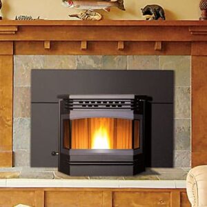 Stock Image - Enviro Meridian Enviro Inserts - Chimney Doctors of Colorado