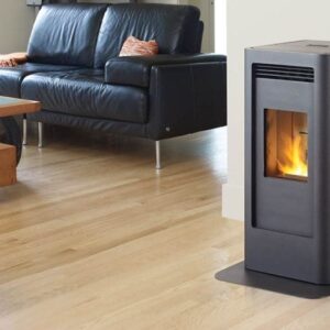 Stock Image - Regency - Greenfire - GF40  Pellet Stove Regency - Chimney Doctors of Colorado
