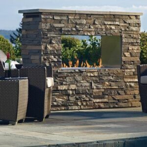 Stock Image - Regency - Plateau - PTO30 Outdoor Gas Outdoor Regency - Chimney Doctors of Colorado
