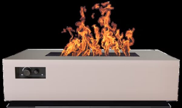 Stock Image - Warming Trends Warming Trends Gas Burner & Burner Insert - Chimney Doctors of Colorado